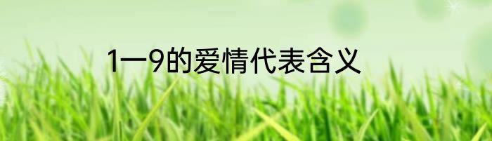 1一9的爱情代表含义