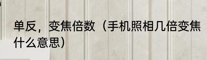 单反，变焦倍数（手机照相几倍变焦什么意思）