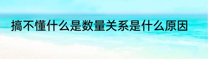 搞不懂什么是数量关系是什么原因