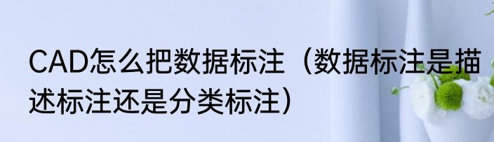 CAD怎么把数据标注（数据标注是描述标注还是分类标注）