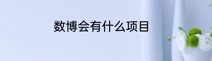 数博会有什么项目