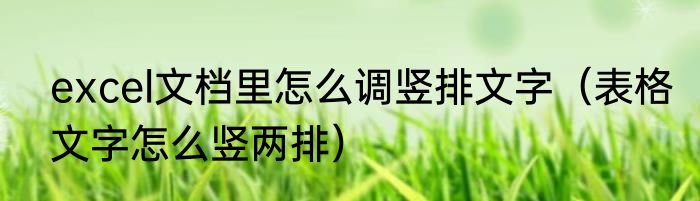 excel文档里怎么调竖排文字（表格文字怎么竖两排）