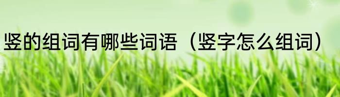 竖的组词有哪些词语（竖字怎么组词）