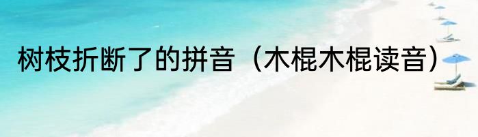 树枝折断了的拼音（木棍木棍读音）