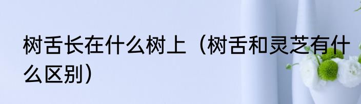 树舌长在什么树上（树舌和灵芝有什么区别）