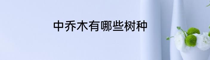 中乔木有哪些树种
