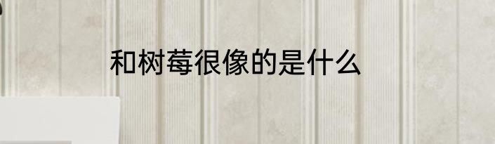 和树莓很像的是什么