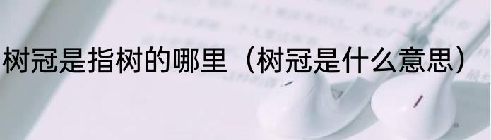 树冠是指树的哪里（树冠是什么意思）