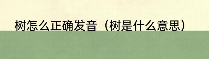 树怎么正确发音（树是什么意思）