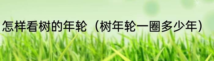 怎样看树的年轮（树年轮一圈多少年）