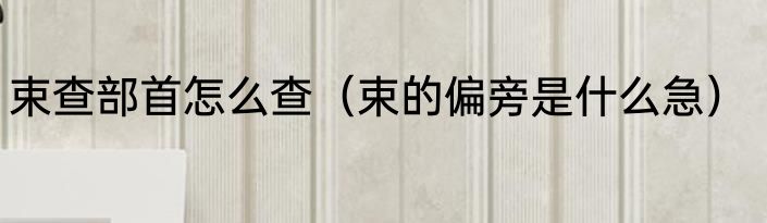 束查部首怎么查（束的偏旁是什么急）