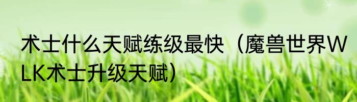 术士什么天赋练级最快（魔兽世界WLK术士升级天赋）