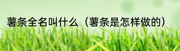 薯条全名叫什么（薯条是怎样做的）