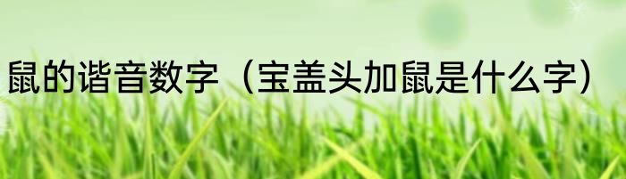 鼠的谐音数字（宝盖头加鼠是什么字）