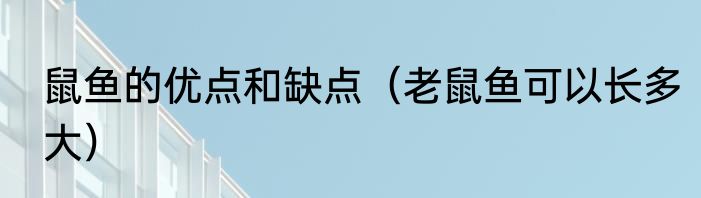 鼠鱼的优点和缺点（老鼠鱼可以长多大）