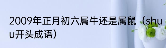 2009年正月初六属牛还是属鼠（shuu开头成语）