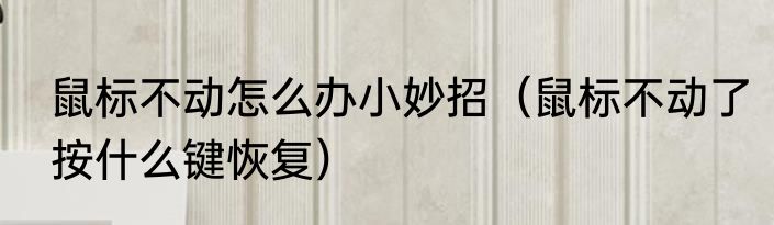 鼠标不动怎么办小妙招（鼠标不动了按什么键恢复）
