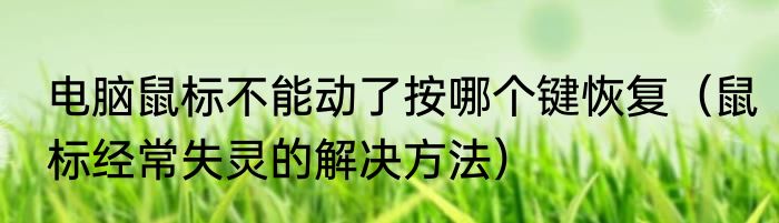 电脑鼠标不能动了按哪个键恢复（鼠标经常失灵的解决方法）