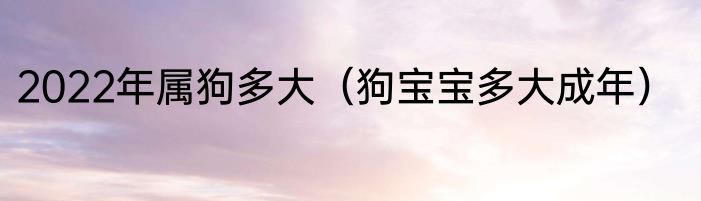 2022年属狗多大（狗宝宝多大成年）