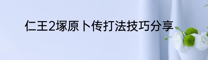 仁王2塚原卜传打法技巧分享