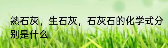 熟石灰，生石灰，石灰石的化学式分别是什么