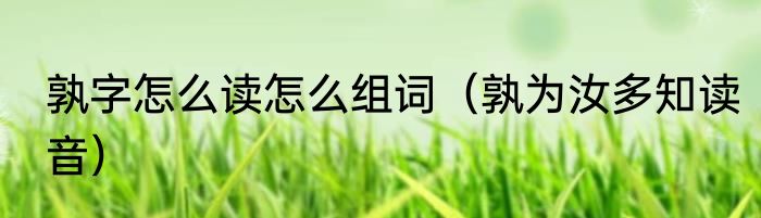 孰字怎么读怎么组词（孰为汝多知读音）