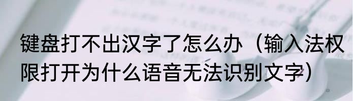 键盘打不出汉字了怎么办（输入法权限打开为什么语音无法识别文字）