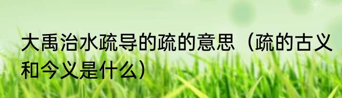 大禹治水疏导的疏的意思（疏的古义和今义是什么）