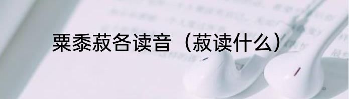 粟黍菽各读音（菽读什么）