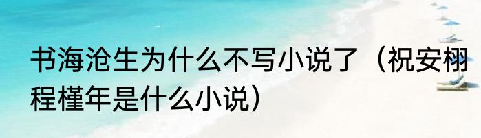 书海沧生为什么不写小说了（祝安栩程槿年是什么小说）