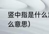 竖中指是什么意思（向人竖起中指什么意思）