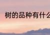 树的品种有什么（树的形状有哪些）