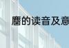 麕的读音及意思（野有死麕注音）