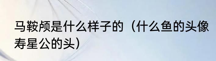 马鞍颅是什么样子的（什么鱼的头像寿星公的头）