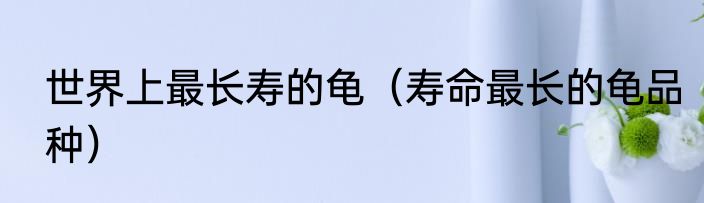 世界上最长寿的龟（寿命最长的龟品种）