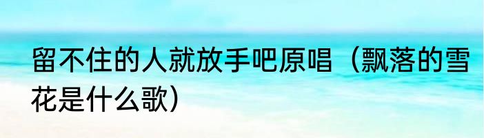 留不住的人就放手吧原唱（飘落的雪花是什么歌）