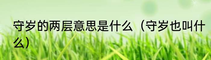 守岁的两层意思是什么（守岁也叫什么）