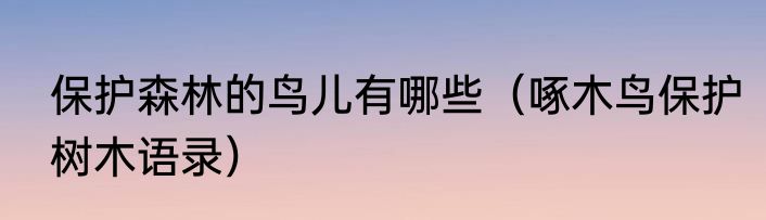 保护森林的鸟儿有哪些（啄木鸟保护树木语录）