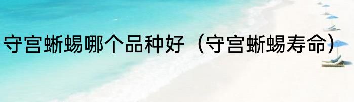 守宫蜥蜴哪个品种好（守宫蜥蜴寿命）