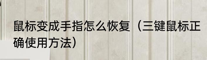鼠标变成手指怎么恢复（三键鼠标正确使用方法）