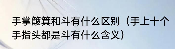 手掌簸箕和斗有什么区别（手上十个手指头都是斗有什么含义）