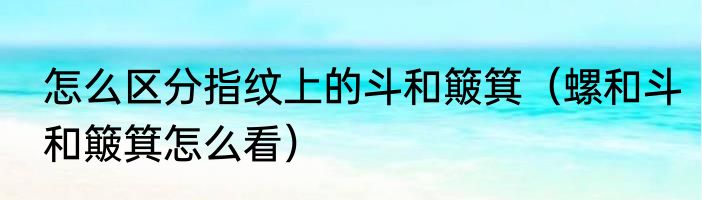怎么区分指纹上的斗和簸箕（螺和斗和簸箕怎么看）