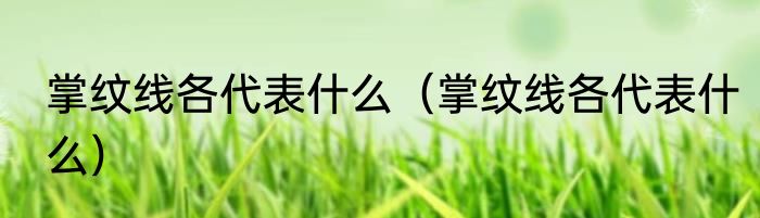 掌纹线各代表什么（掌纹线各代表什么）