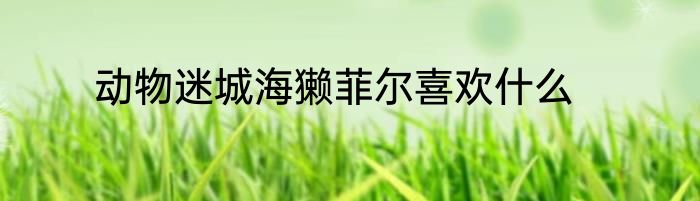 动物迷城海獭菲尔喜欢什么