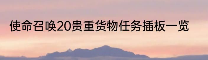 使命召唤20贵重货物任务插板一览