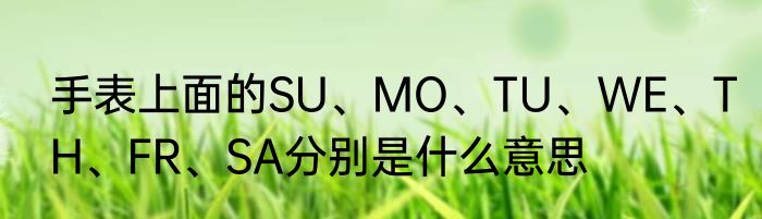 手表上面的SU、MO、TU、WE、TH、FR、SA分别是什么意思