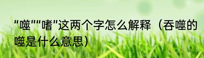 “噬”“嗜”这两个字怎么解释（吞噬的噬是什么意思）