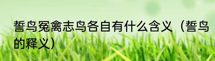 誓鸟冤禽志鸟各自有什么含义（誓鸟的释义）