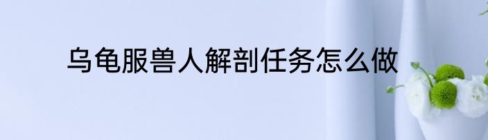 乌龟服兽人解剖任务怎么做