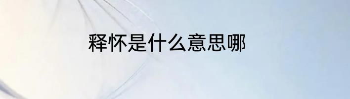 释怀是什么意思哪